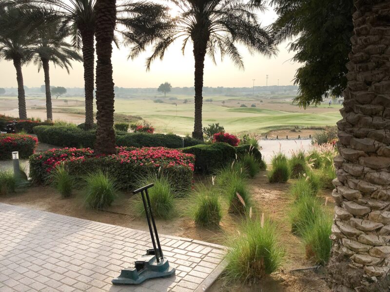 Golf course with palm trees and flower beds at Arabian Ranches, Dubai