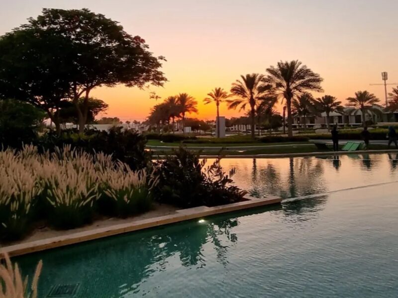 Sunset over a pool and palm trees in Dubai Hills Estate